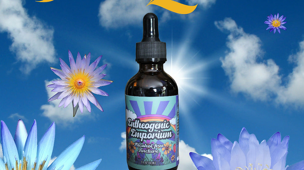 Blue lotus flower, from an article on blue lotus side effects and risks