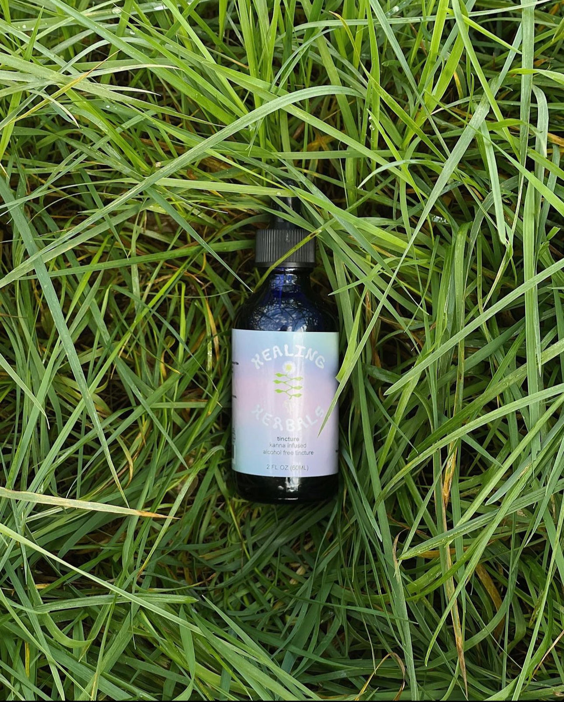 The Healing Herbals: Your Go-To Source for Popular Botanical Products