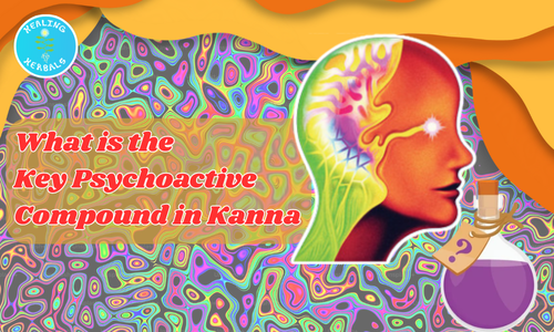 Psychoactive Compound in Kanna