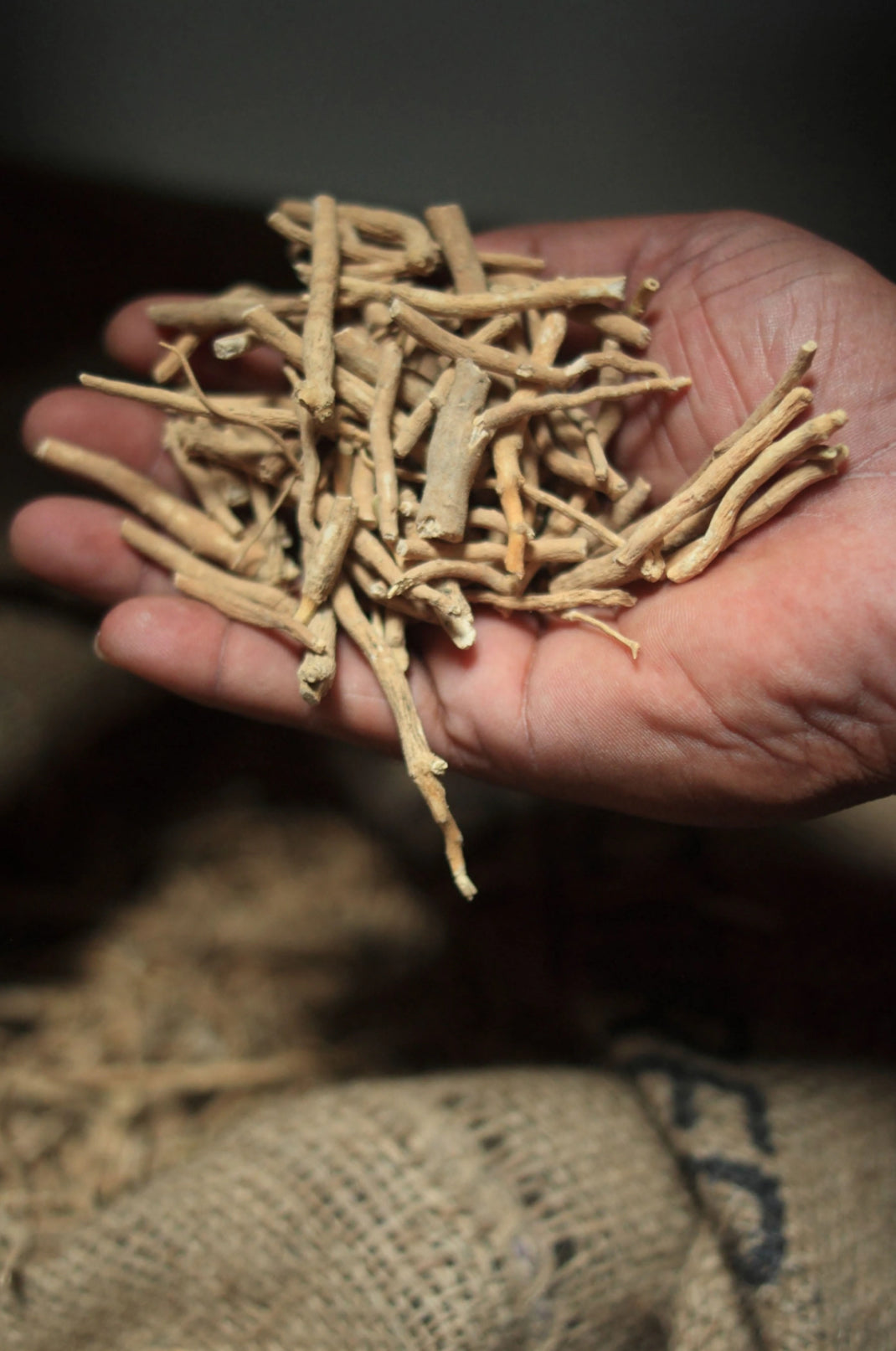 Ashwagandha root, from an article on what ashwagandha does