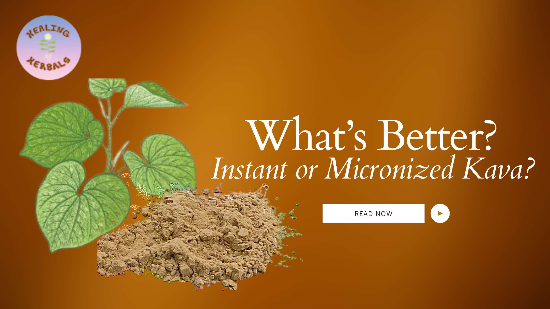 What’s Better for You: Instant or Micronized Kava?