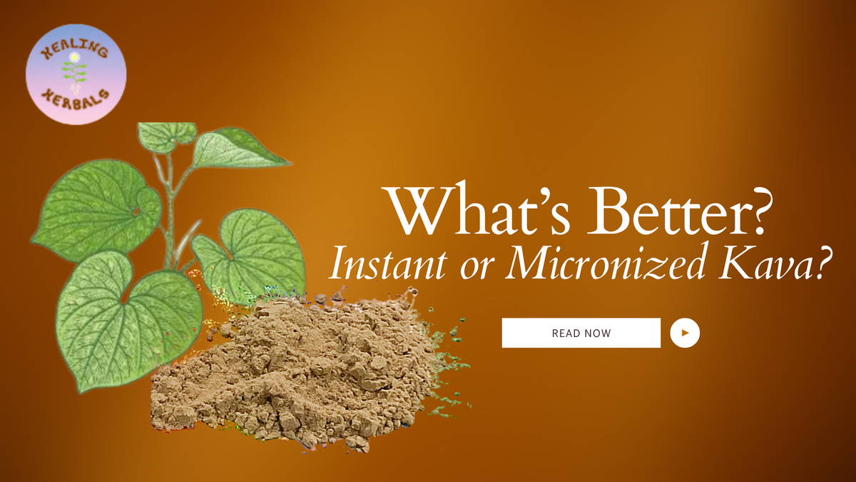 Kava powder, from an article comparing instant and micronized kava