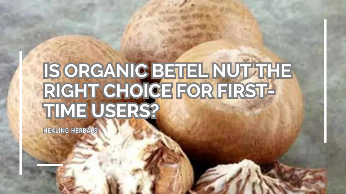 Is Organic Betel Nut the Right Choice for First-Time Users?