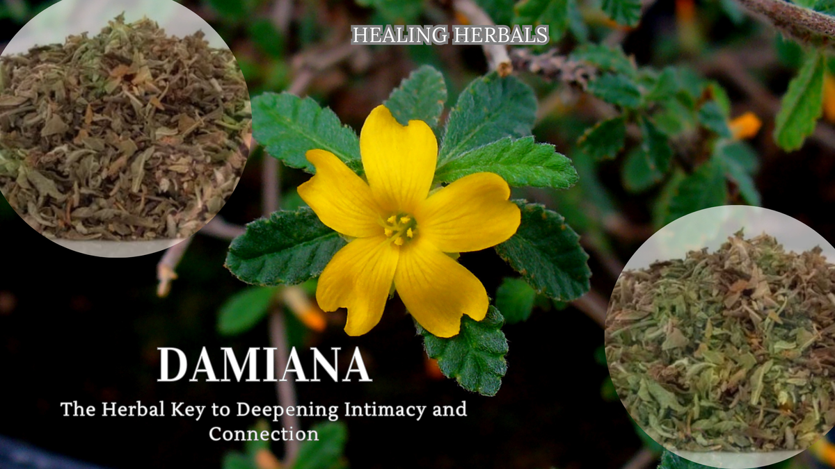 Damiana, from an article on damiana and intimacy