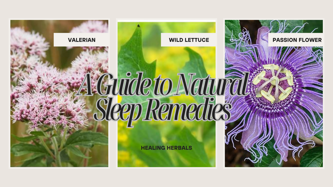 Wild Lettuce vs. Valerian Root and Passionflower: A Guide to Natural Sleep Remedies
