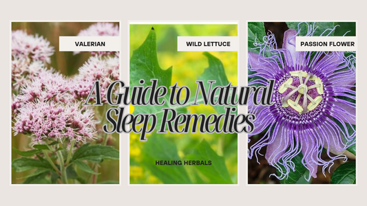 Wild Lettuce vs. Valerian Root and Passionflower: A Guide to Natural Sleep Remedies