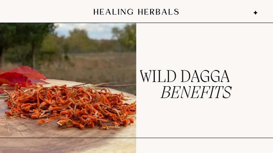 Boost Your Wellbeing with Wild Dagga Health Benefits