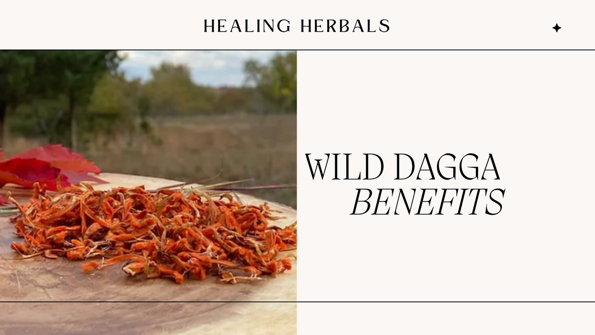 Wild dagga, from an article on its health benefits