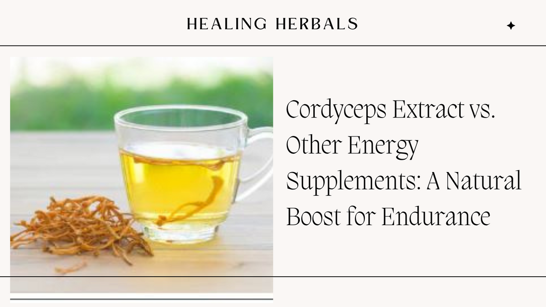 Cordyceps Extract vs. Other Energy Supplements: A Natural Boost for Endurance
