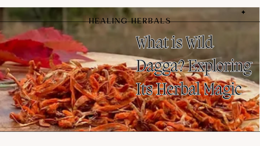 What is Wild Dagga? Exploring Its Herbal Magic