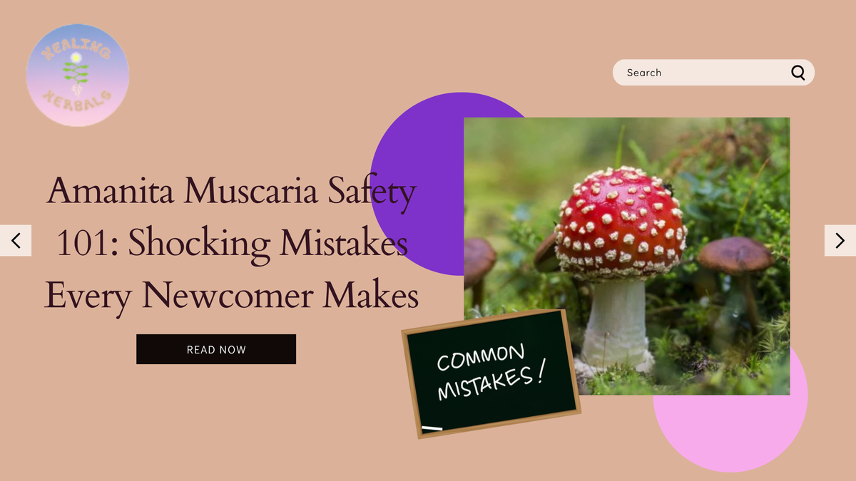 Amanita muscaria, from an article on safety mistakes newcomers make