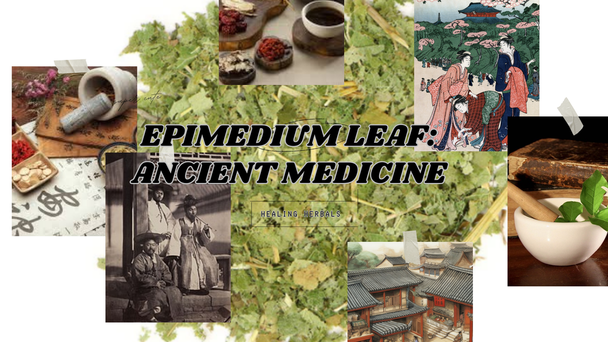 Epimedium leaf, from an article on its time-tested uses