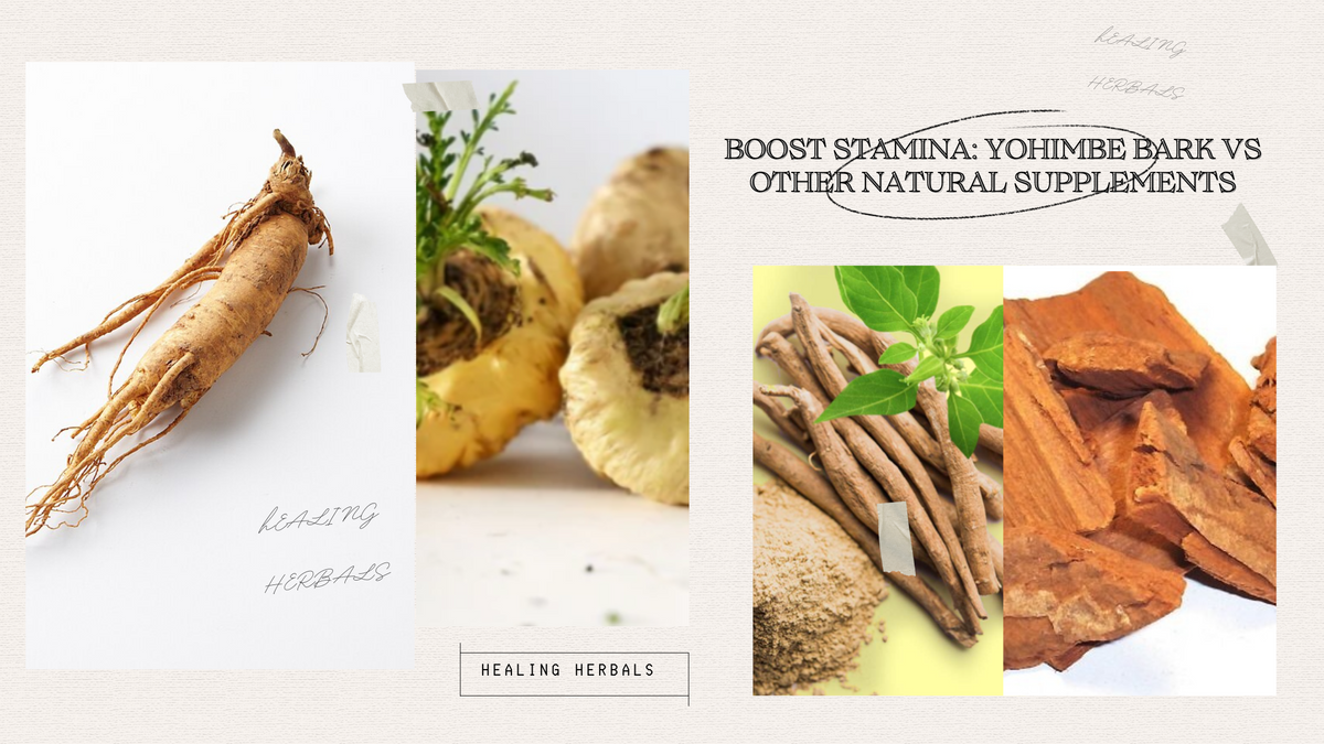 Yohimbe bark, from an article comparing it with other natural supplements