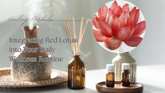 Integrating Red Lotus into Your Daily Wellness Routine