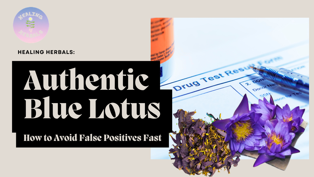 Blue lotus flowers, from an article on identifying authentic blue lotus
