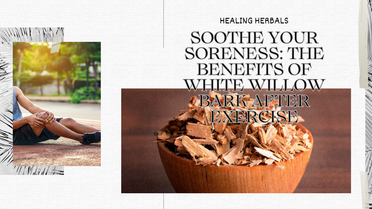 White willow bark, from an article on how people use it after exercise