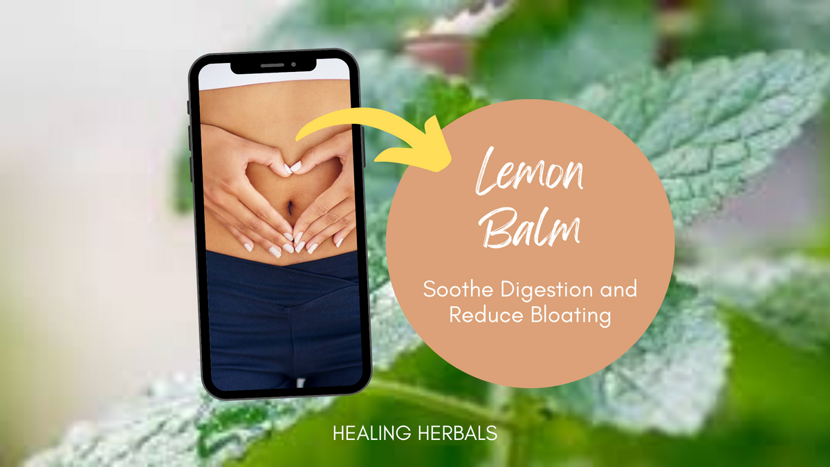 Lemon balm, from an article on its use in cooking and tea