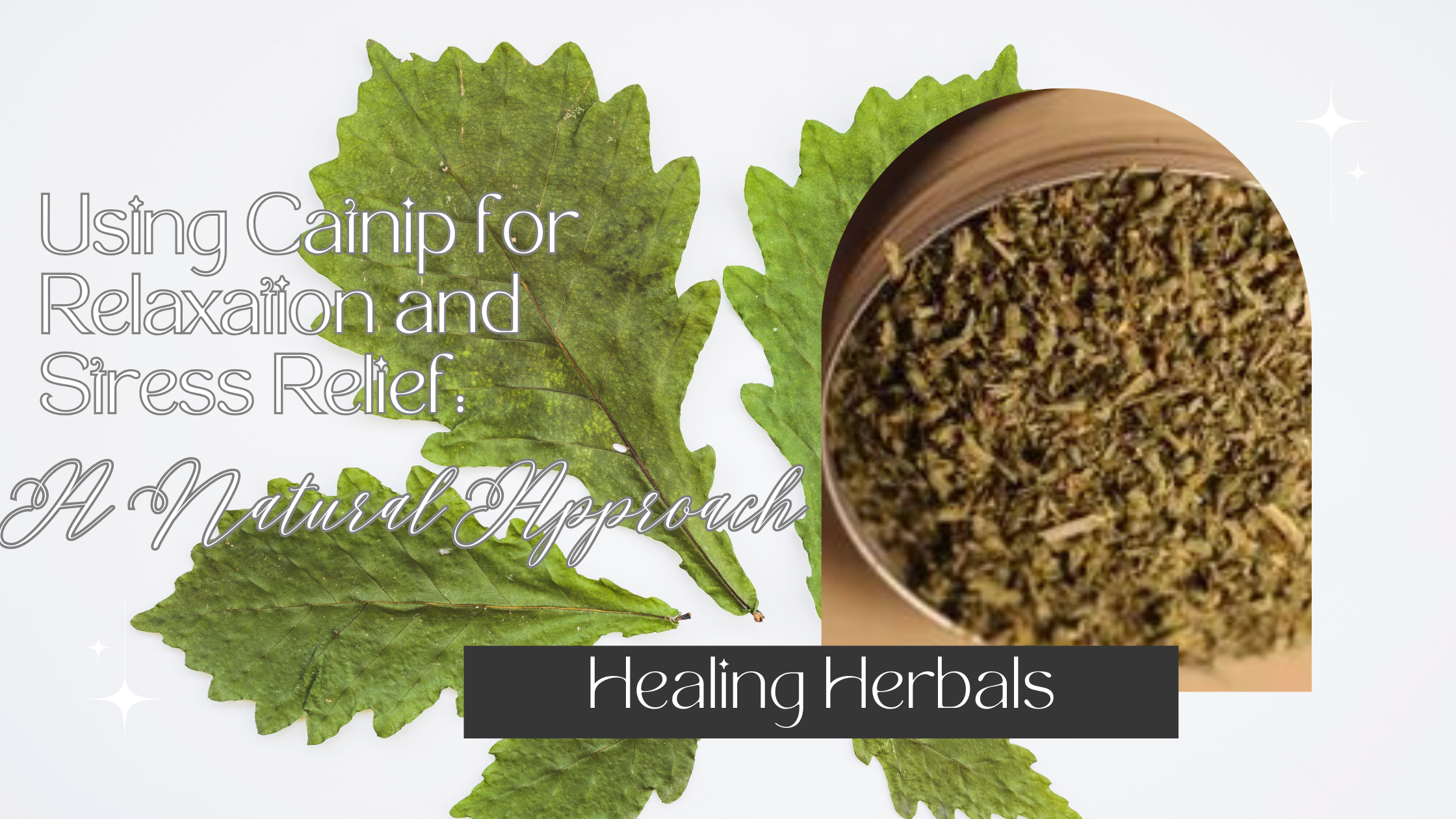 Using Catnip for Relaxation and Stress Relief: A Natural Approach
