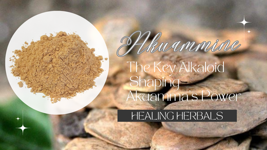 Akuammine: The Key Alkaloid Shaping Akuamma's Power