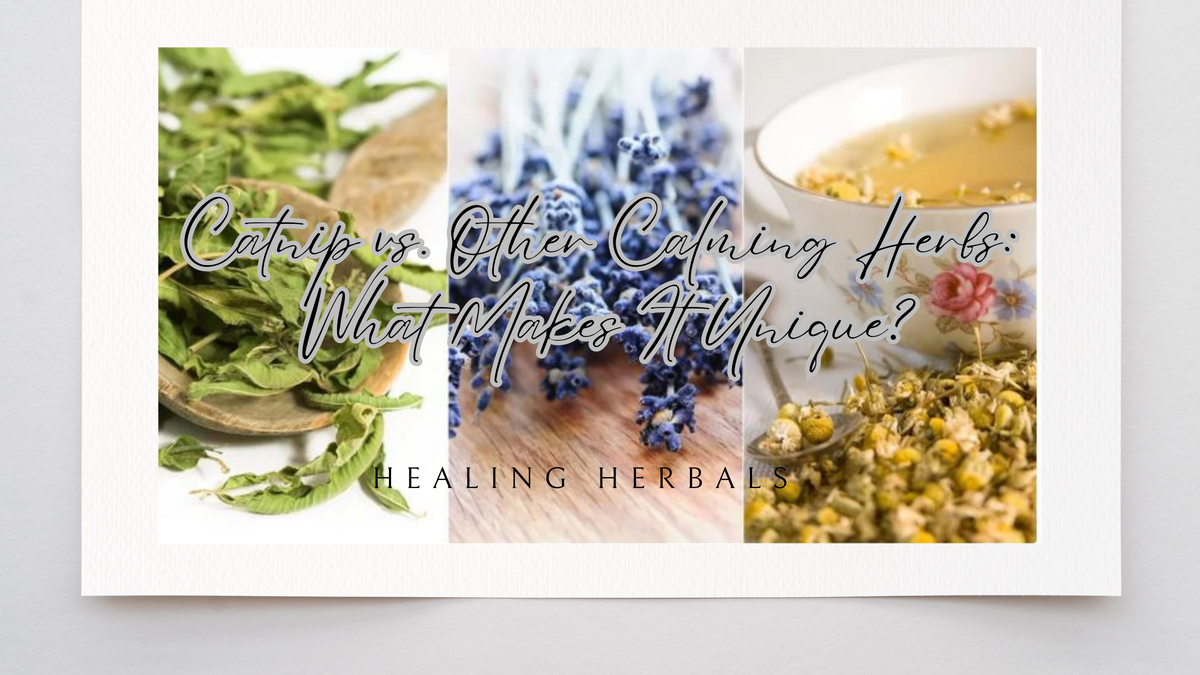 Catnip, from an article comparing it with other calming herbs