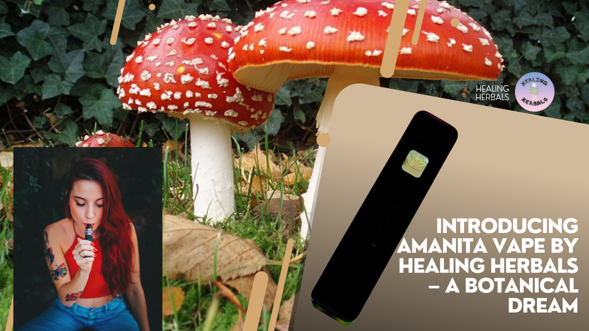 Amanita vape by Healing Herbals, from a product introduction article