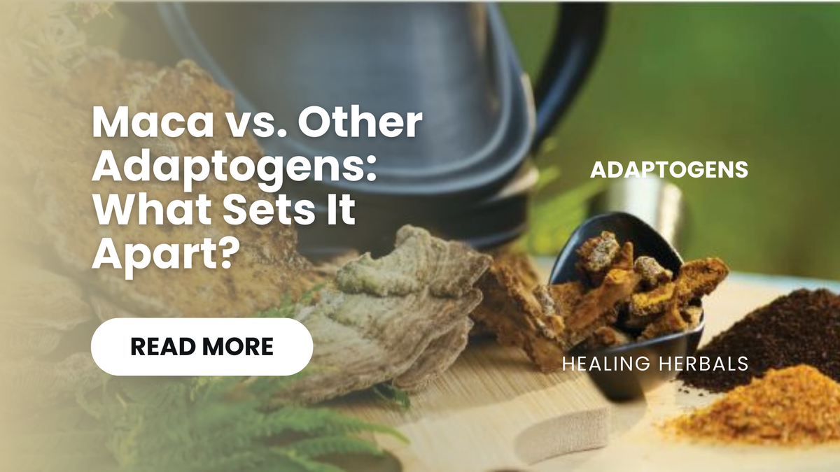 Maca root, from an article comparing maca with other adaptogens