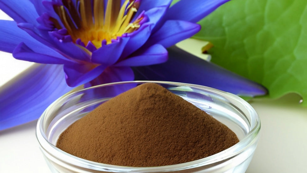 Blue lotus flower, from an article on the effects of blue lotus