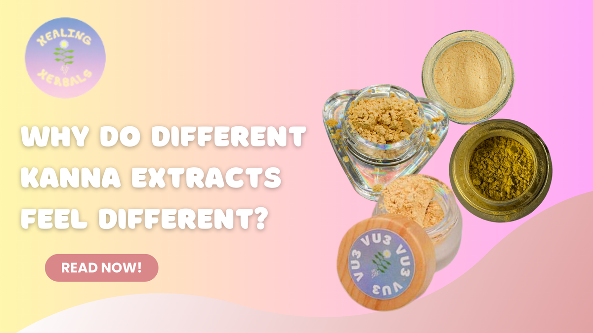 Kanna extracts, from an article on why different extracts feel different
