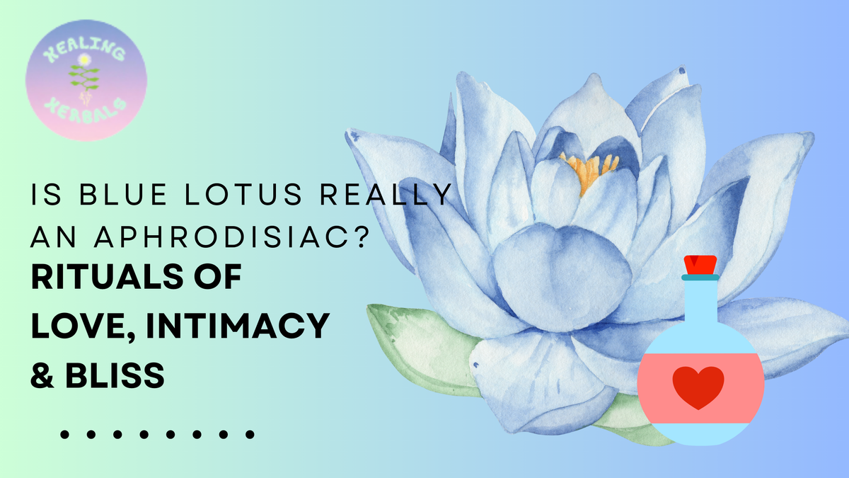 Blue lotus flower, from an article on its reputation as an aphrodisiac