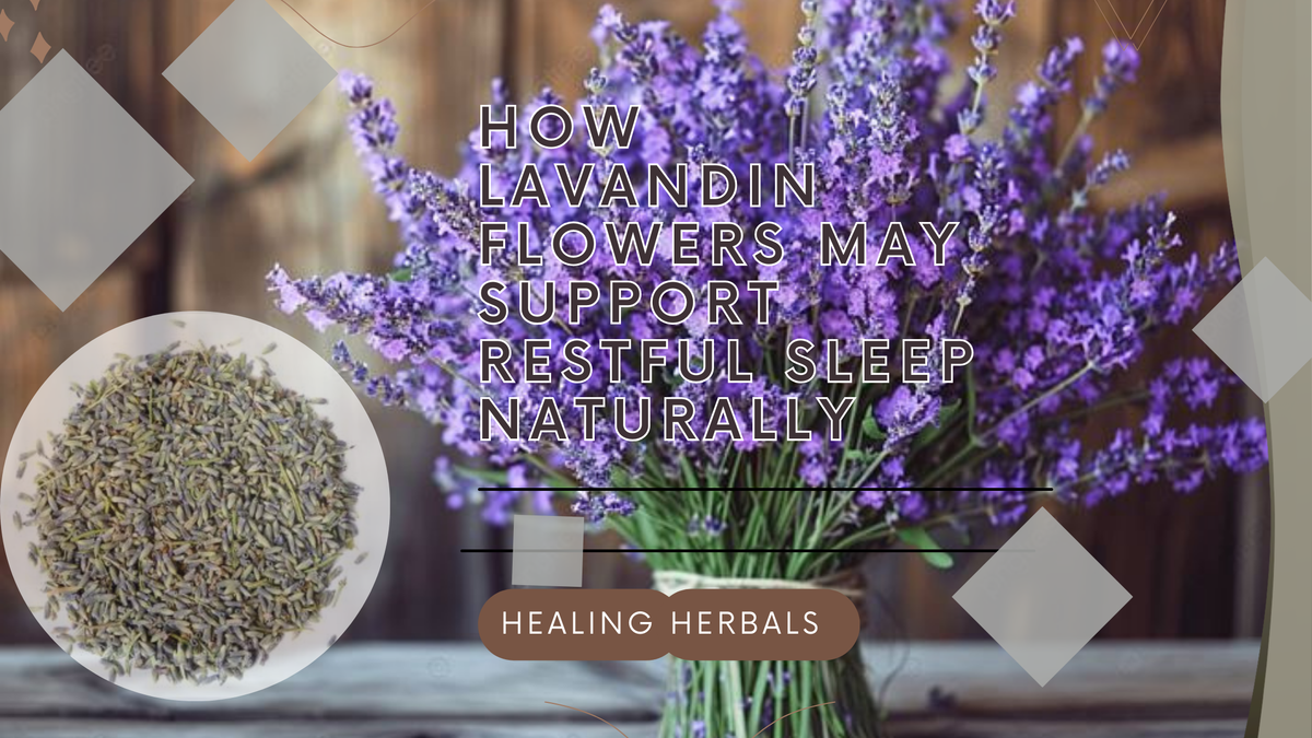 Lavandin flowers, from an article on restful sleep