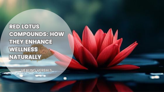 Red Lotus Compounds: How They Enhance Wellness Naturally