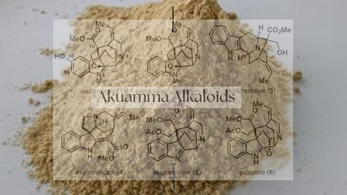 Akuamma alkaloids, from an article on reading botanical comparisons