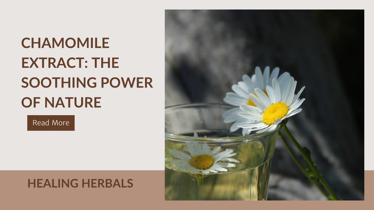 Chamomile extract, from an article on chamomile as a soothing botanical