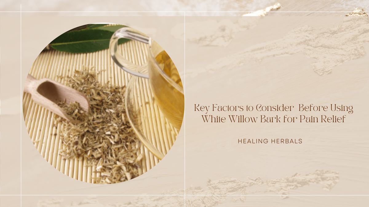 White willow bark, from an article on what to know before using it