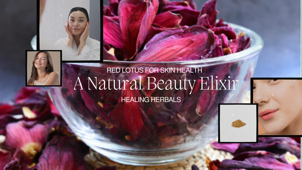 Red lotus, from an article on its traditional and modern skincare uses