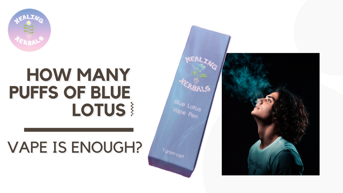 Blue lotus vape, from an article on how many puffs is enough