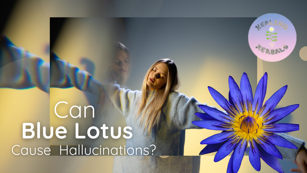 Blue lotus flower, from an article on blue lotus and hallucinations