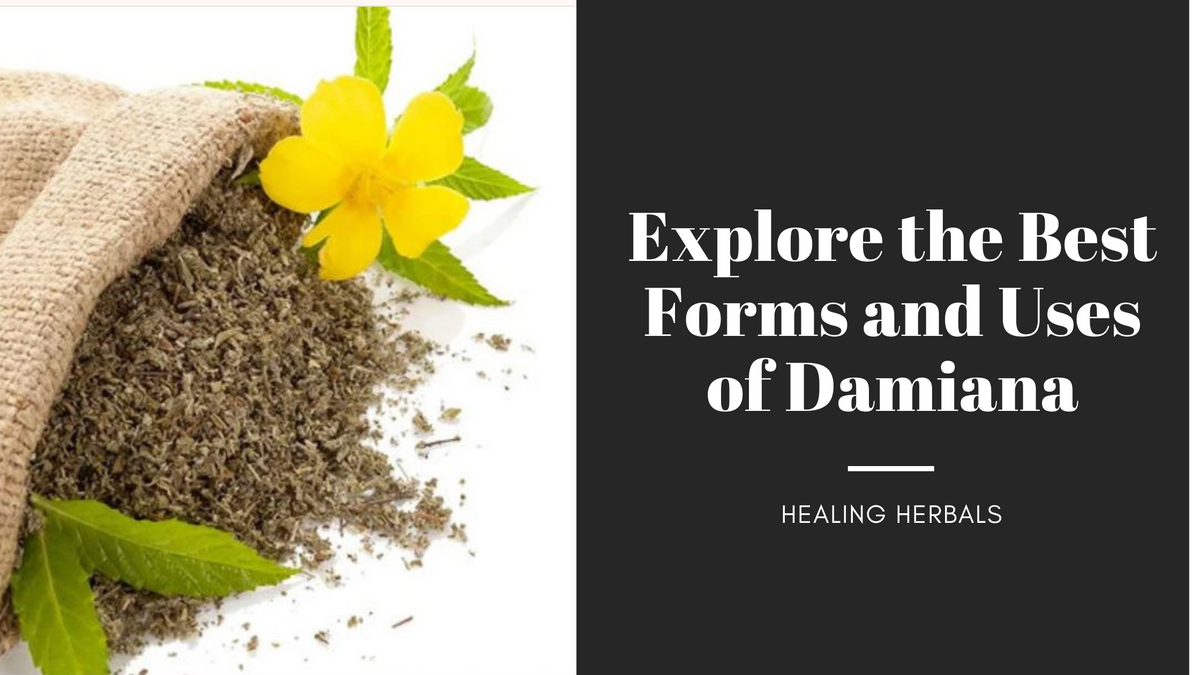 Damiana leaf, from an article on the best forms and uses of damiana