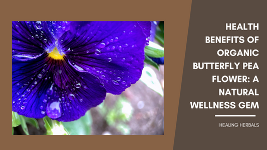 The Surprising Health Benefits of Organic Butterfly Pea Flower: A Natural Wellness Gem