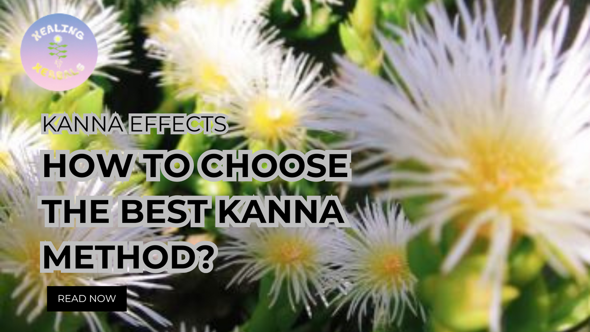 Kanna, from an article on choosing the best kanna method