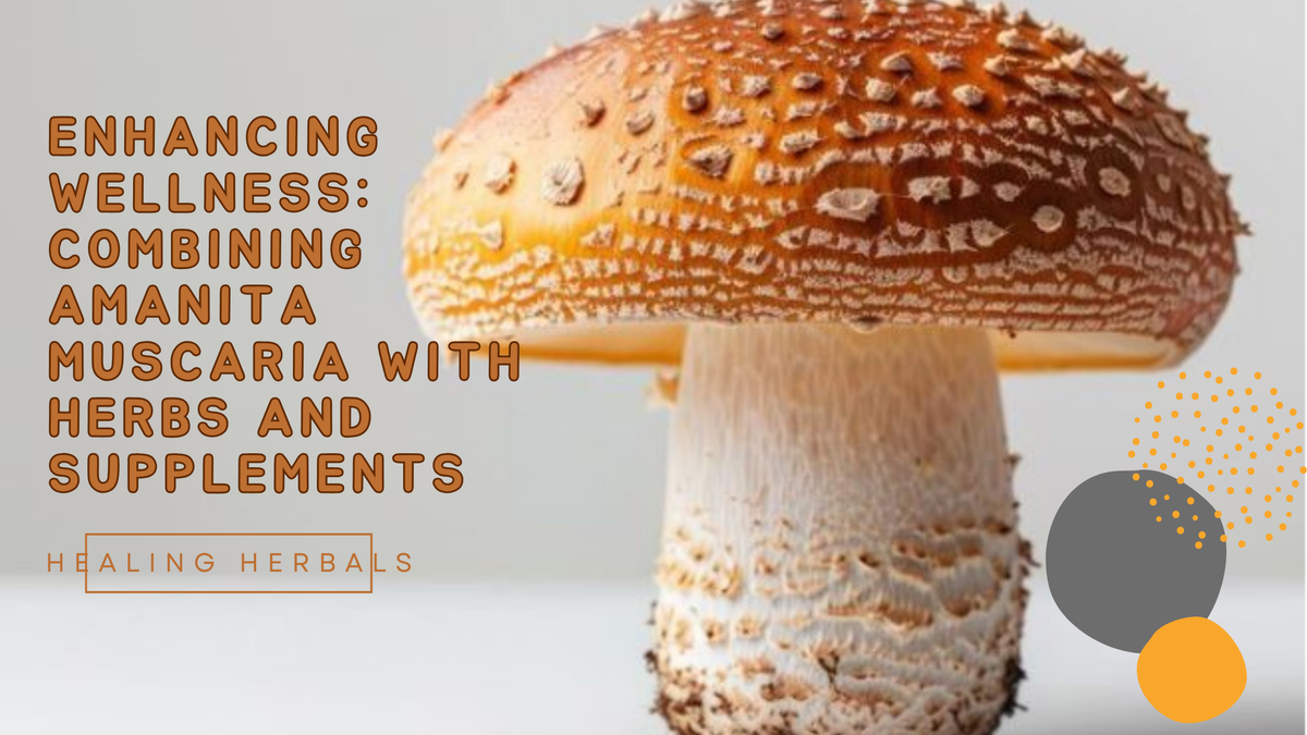 Amanita muscaria, from an article on combining it with herbs and supplements