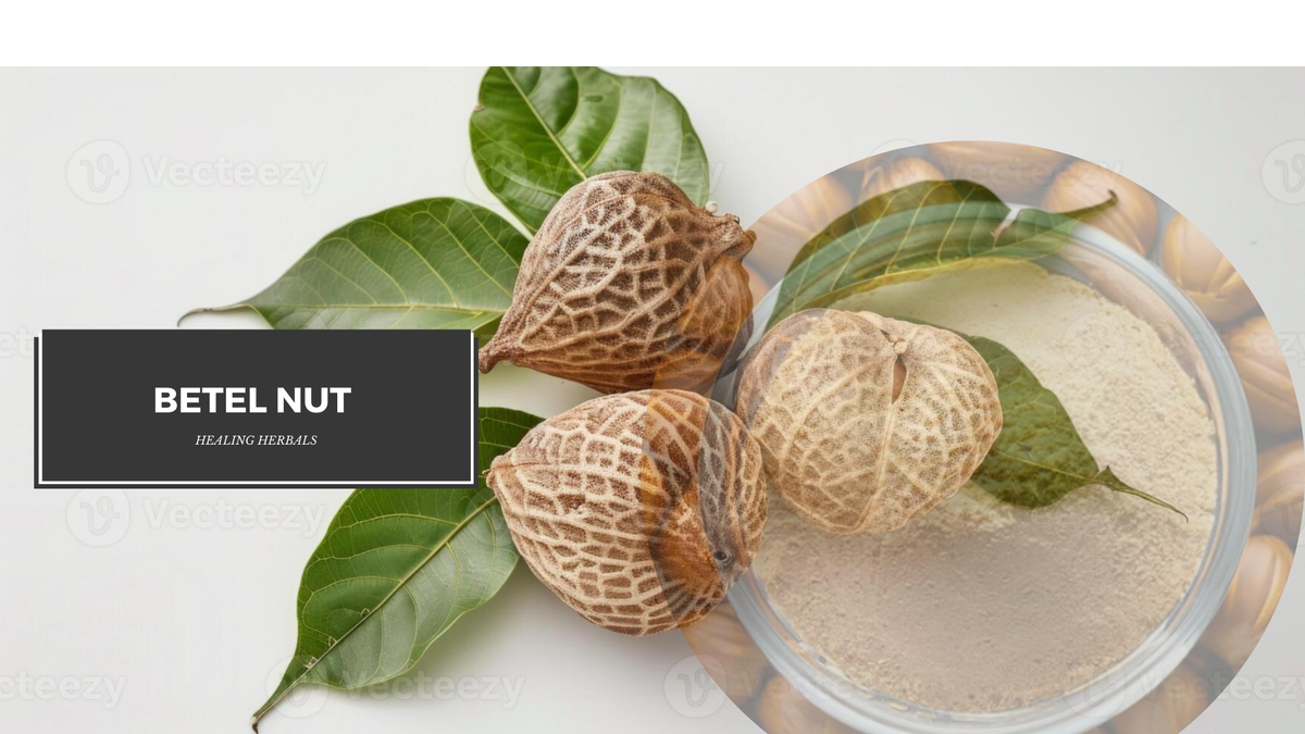 Organic betel nut powder, from an article on how to prepare it