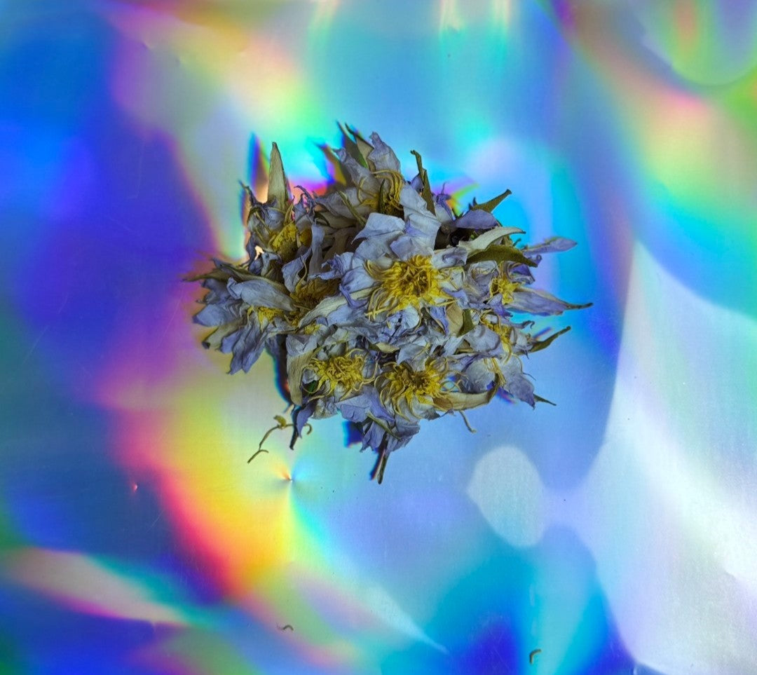 Kanna, blue lotus and other botanicals, from a new product drop announcement