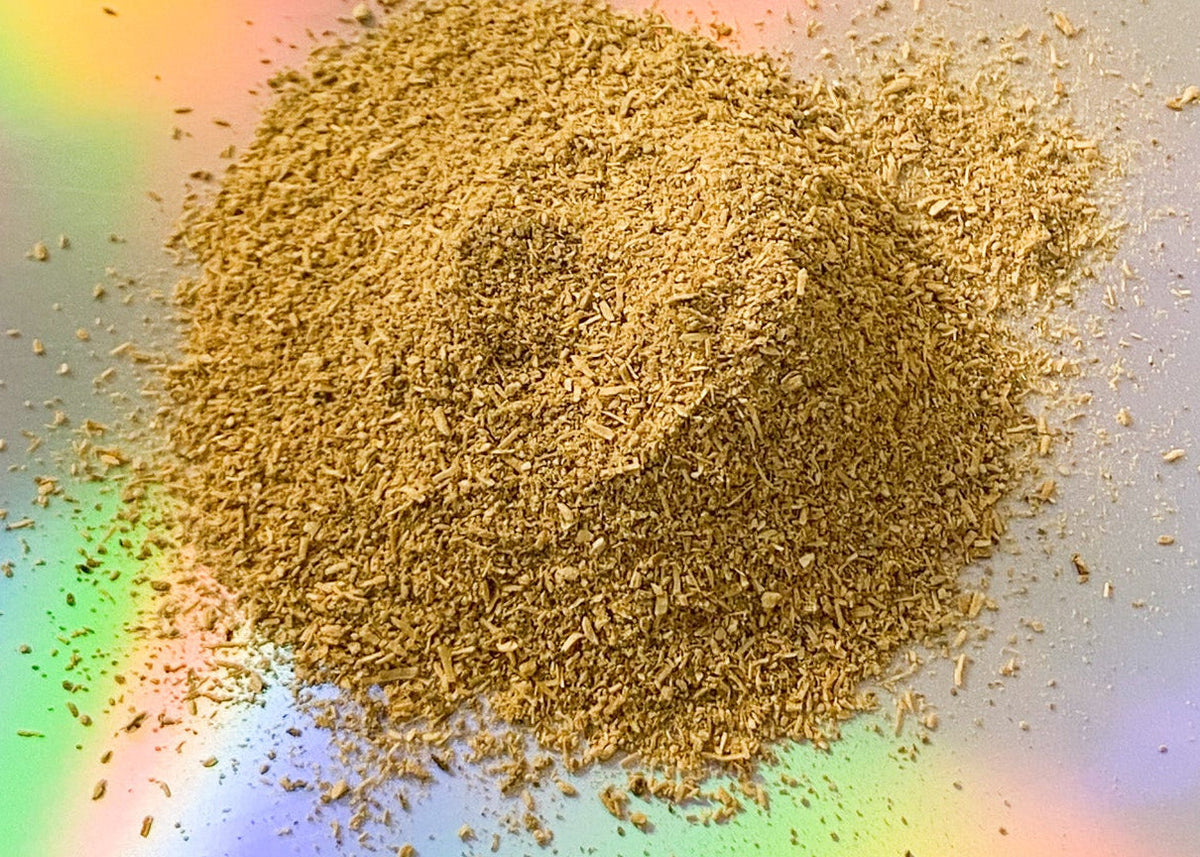 Kava root, from an article on renewed interest in this ancient root