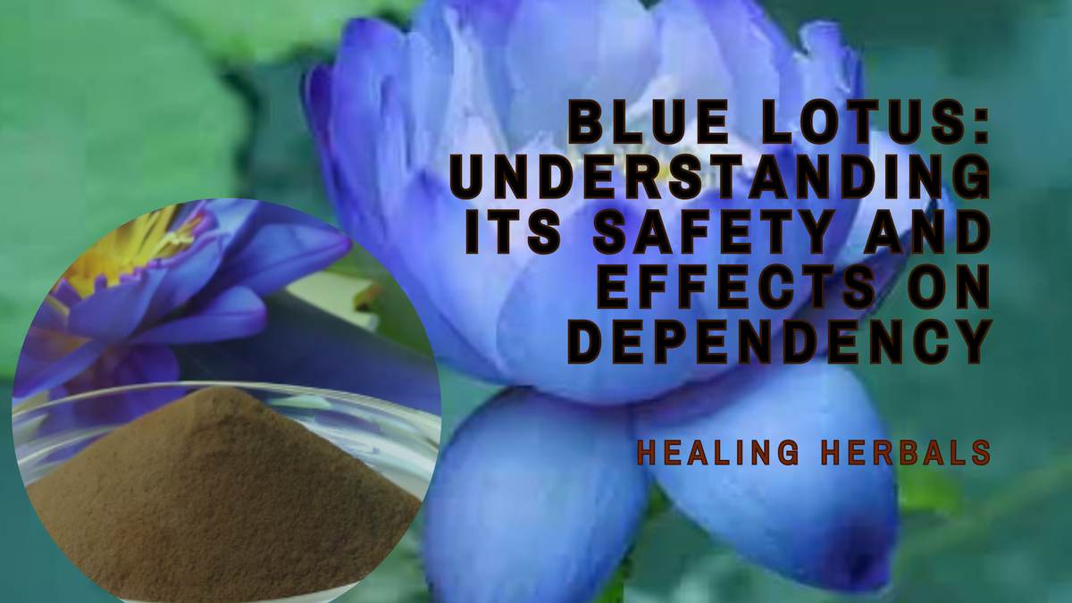 Blue lotus, from an article on its safety and effects on dependency