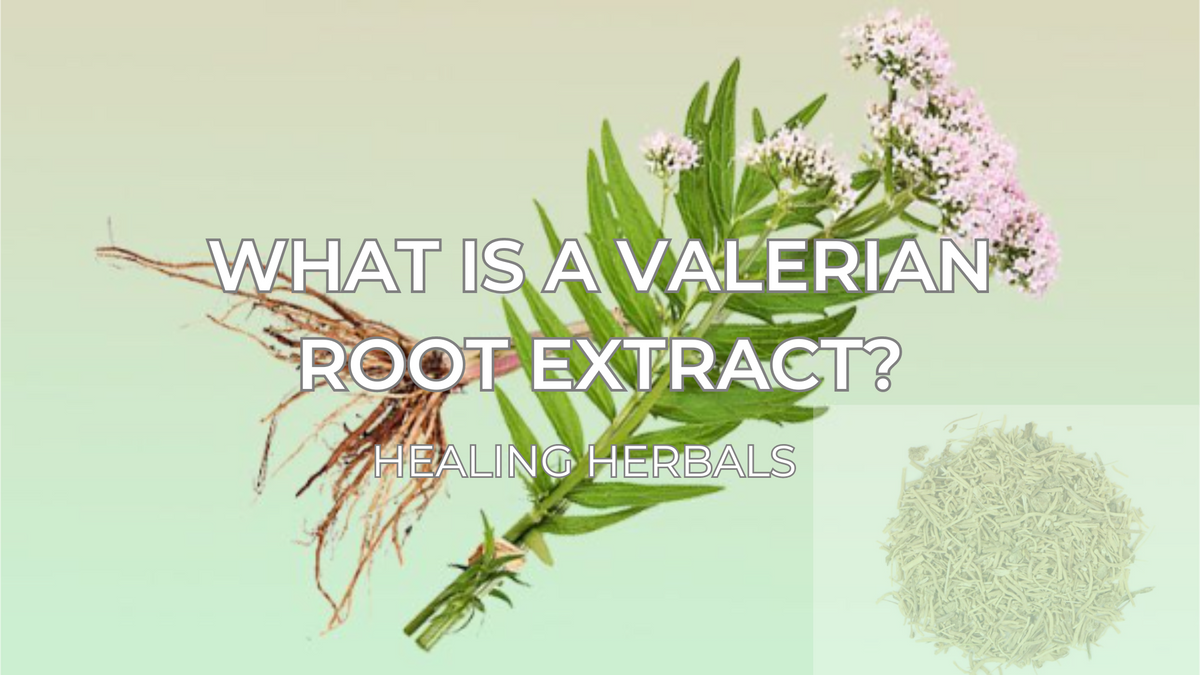 Valerian root extract, from an article explaining what it is