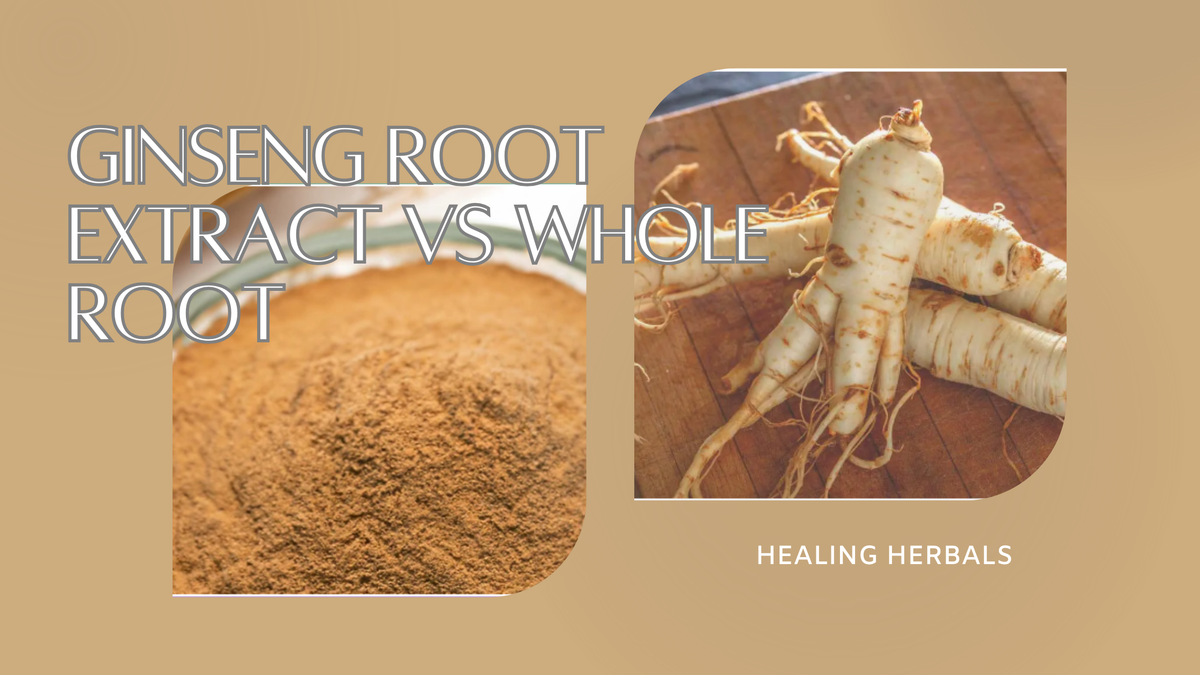 Ginseng root, from an article comparing ginseng extract and whole root
