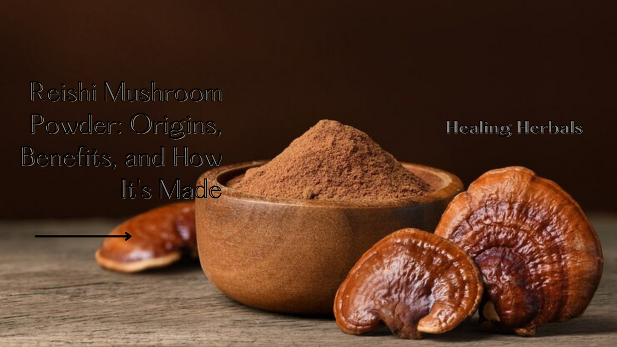 Reishi mushroom powder, from an article on its origins and how it is made