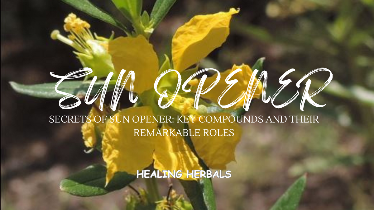 Sun opener herb, from an article on its key compounds