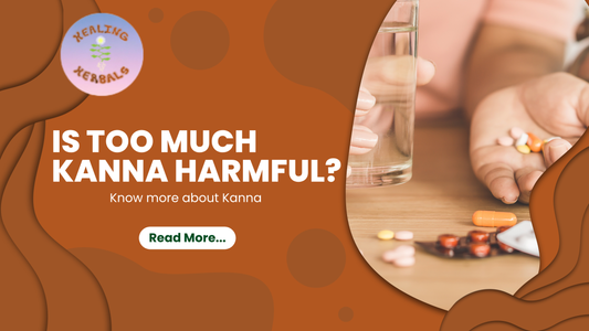 Is Too Much Kanna Harmful?